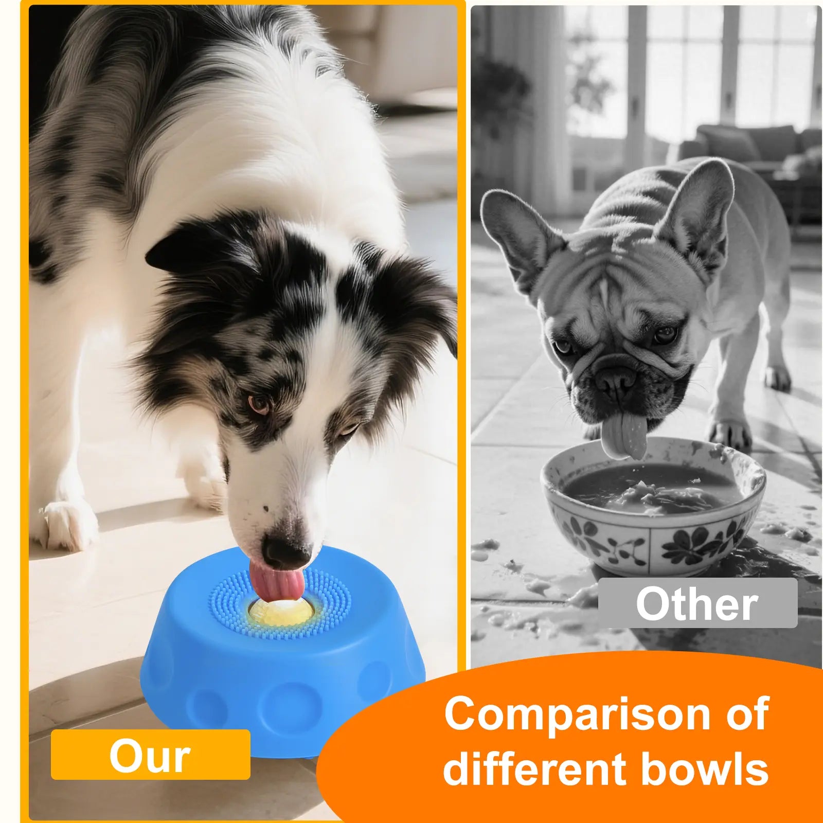 No-Spill Slow Feeder Dog Bowl — Fun, Clean &amp; Healthy Feeding
