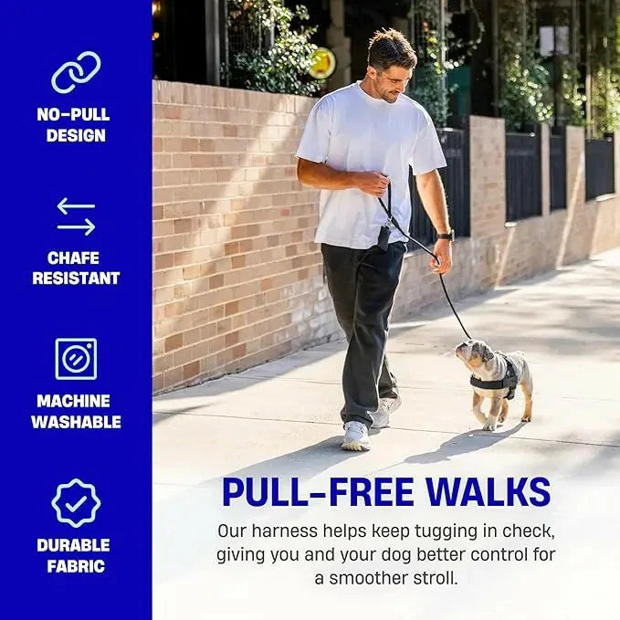 Easy-Fit No-Pull Dog Harness — Simple Control, All-Day Comfort