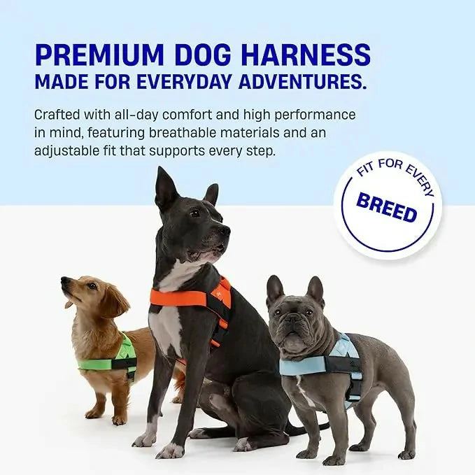 Easy-Fit No-Pull Dog Harness — Simple Control, All-Day Comfort