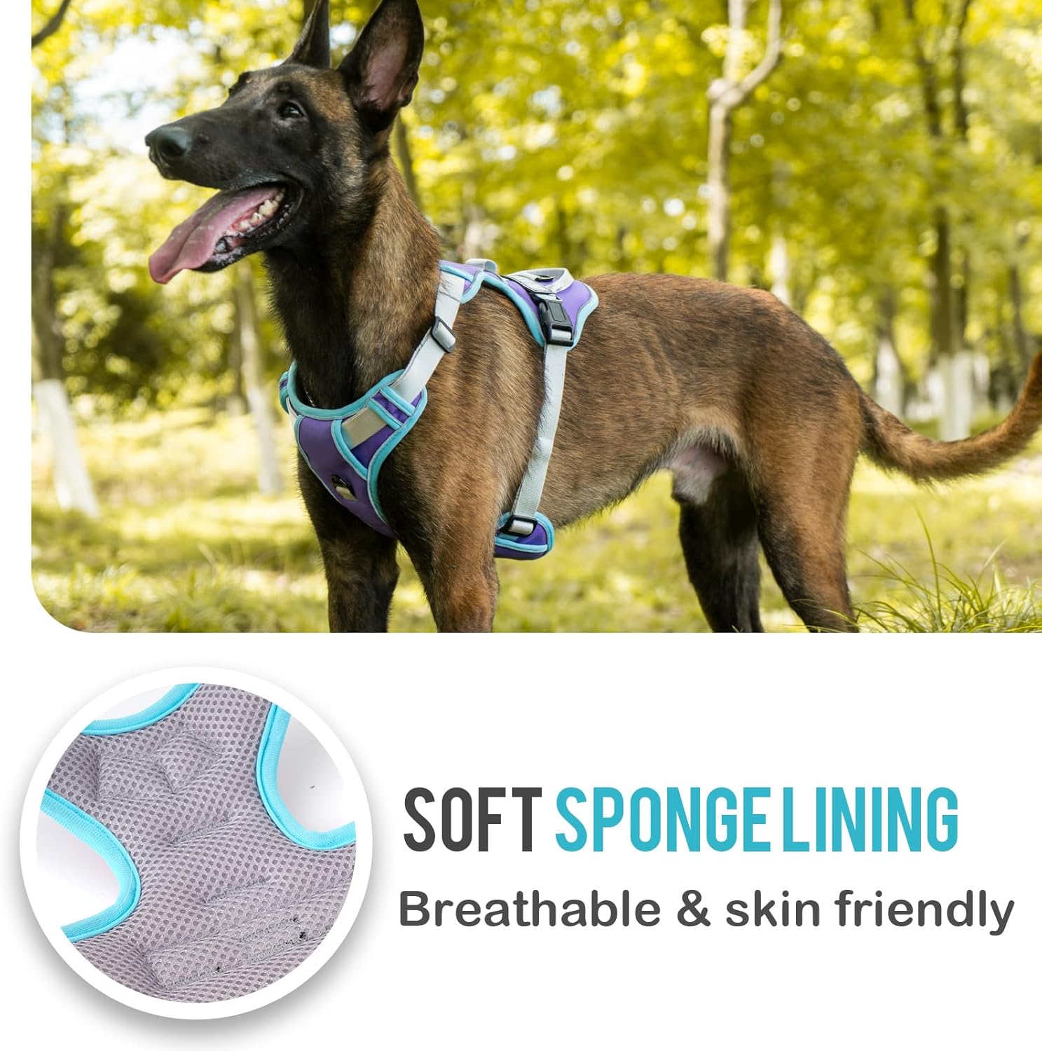 Reflective No-Pull Dog Harness — Strong Control, All-Day Comfort